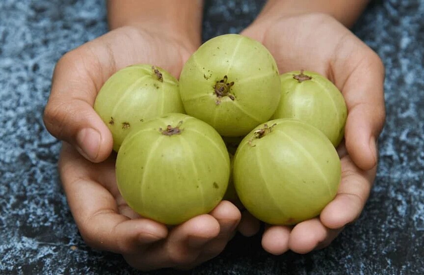 Amla