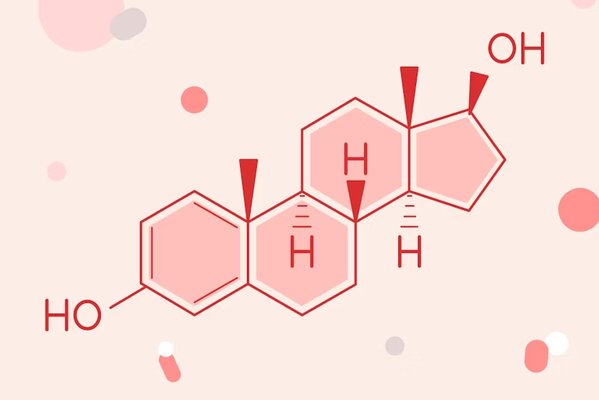 Estrogen