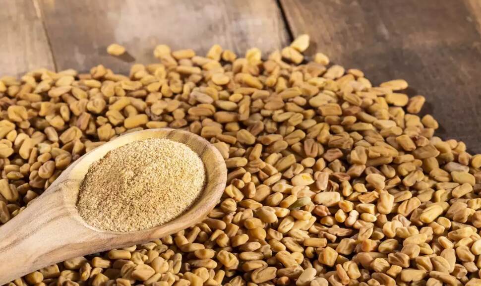 Fenugreek Seeds